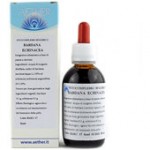 Bardana -Echinacea - 50 ml